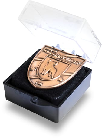Blank metalen pin in schildvorm in een doorzichtig geschenkdoosje